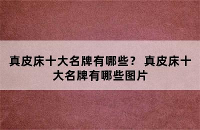 真皮床十大名牌有哪些？ 真皮床十大名牌有哪些图片